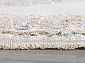 MOSSO 27226A BEIGE / BLUE Овал