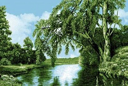 Ковер Родные просторы 0015 03  