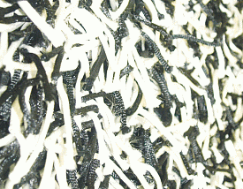 длинноворсовый Шегги TW black-white КРУГ/ОВАЛ