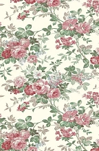 цветы Версаль 2550b7 vs