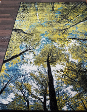 CRYSTAL C027 MULTICOLOR