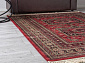 BELUCHI 961403 1616 V