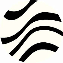 SHAGGY ULTRA s607 BONE-BLACK Круг