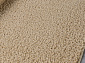 Ковровая Дорожка LANA T600 BEIGE 5