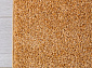 Ковровая Дорожка LANA T600 BEIGE 7