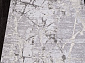 Valentino M006A D.GREY SHRINK / D.GREY