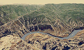 BUHARA SULA MULTICOLOR 4