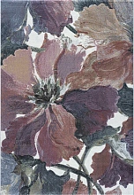 Ковер с цветами ARGENTUM R 63834 6626